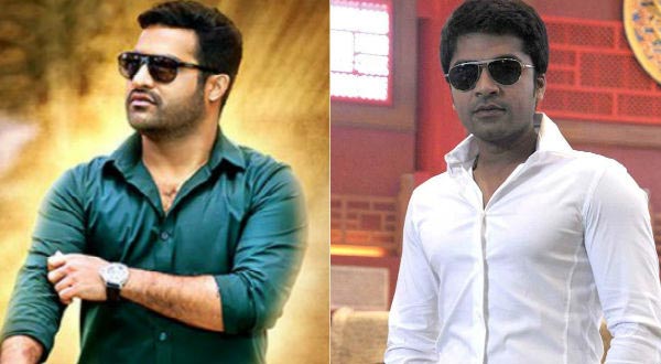 ntr,temper movie,thamil remake,simbu  ఎన్టీఆర్‌ ఆశలను దెబ్బకొట్టిన శింబు! 